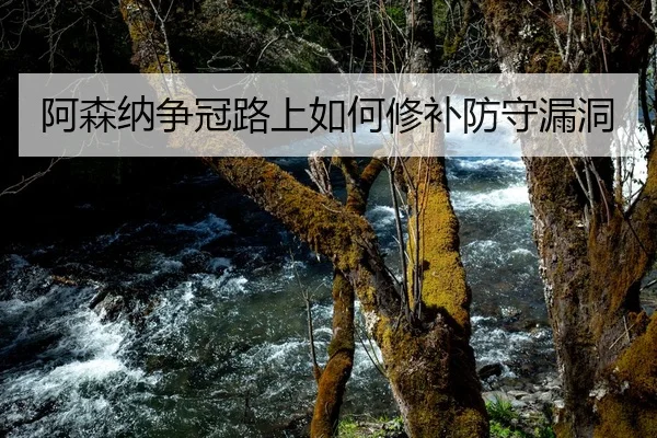 阿森纳争冠路上如何修补防守漏洞